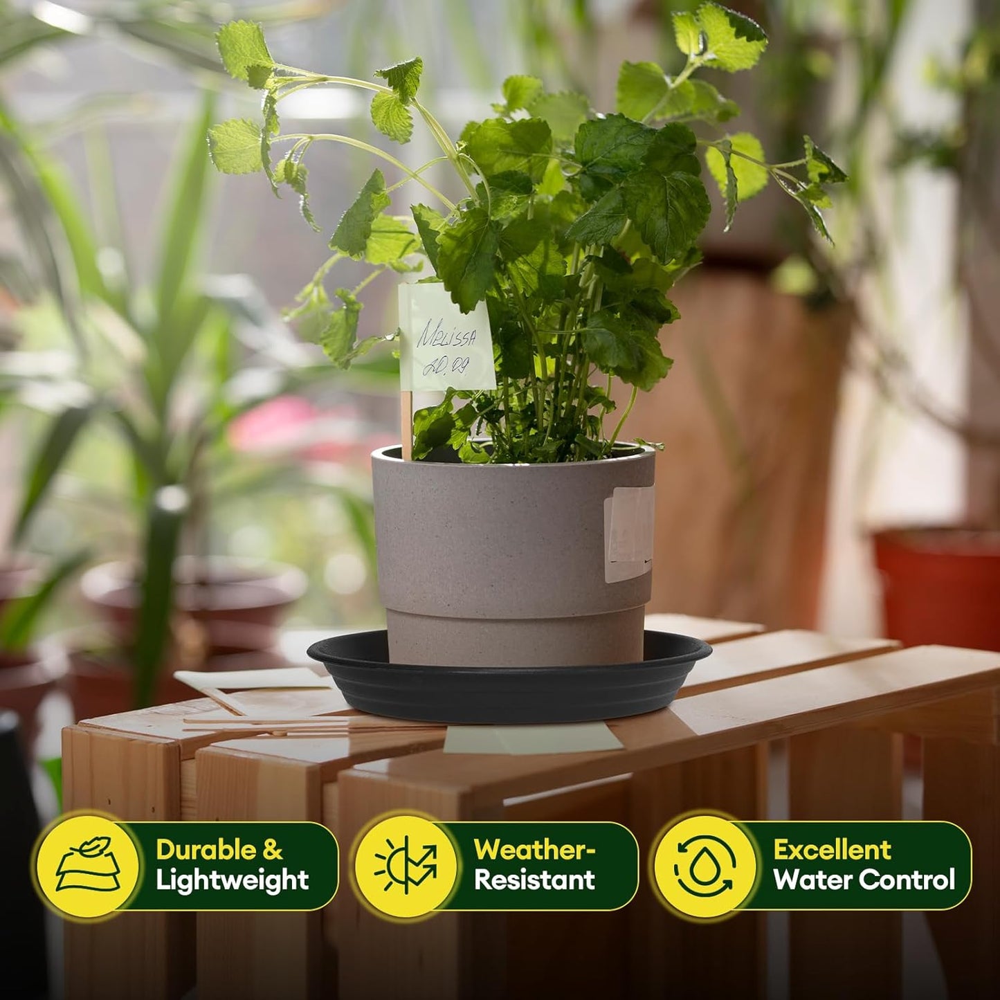 6 Pack Plant Saucer, 8 10 12 inch Plant Saucers for Indoor, Heavy Duty Plastic Plant Trays for pots, Grow Bags, Bird Baths, Flower Drip Trays for Indoor and Outdoor Uses (12", Black)