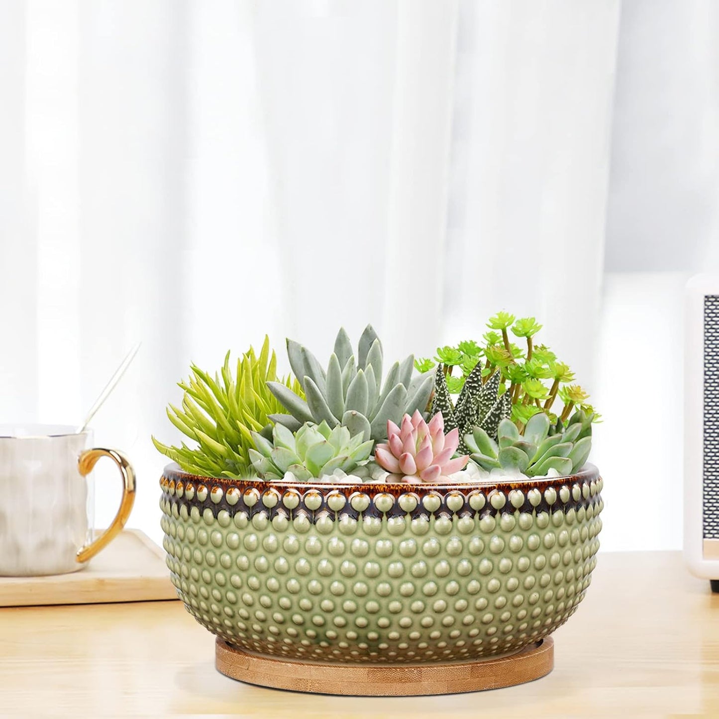 8 Inch Ceramic Succulent Shallow Planter Pot with Drainage Hole and Saucer Beaded Stoneware Planter for Indoor Plants Green