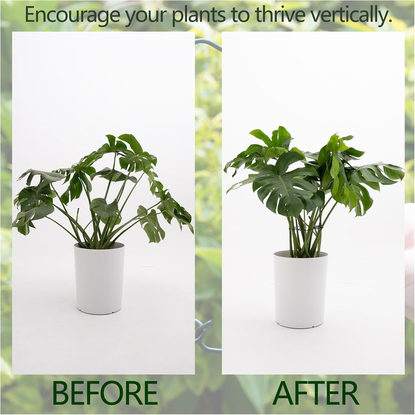 5PCS Monstera Plant Stem Support -7.3*6.25IN Adjustable Metal Stake for Climbing Plants, Durable Garden Support with Gentle Grips, Ideal for Indoor & Outdoor Use, Ideal Gift for Plant Lovers