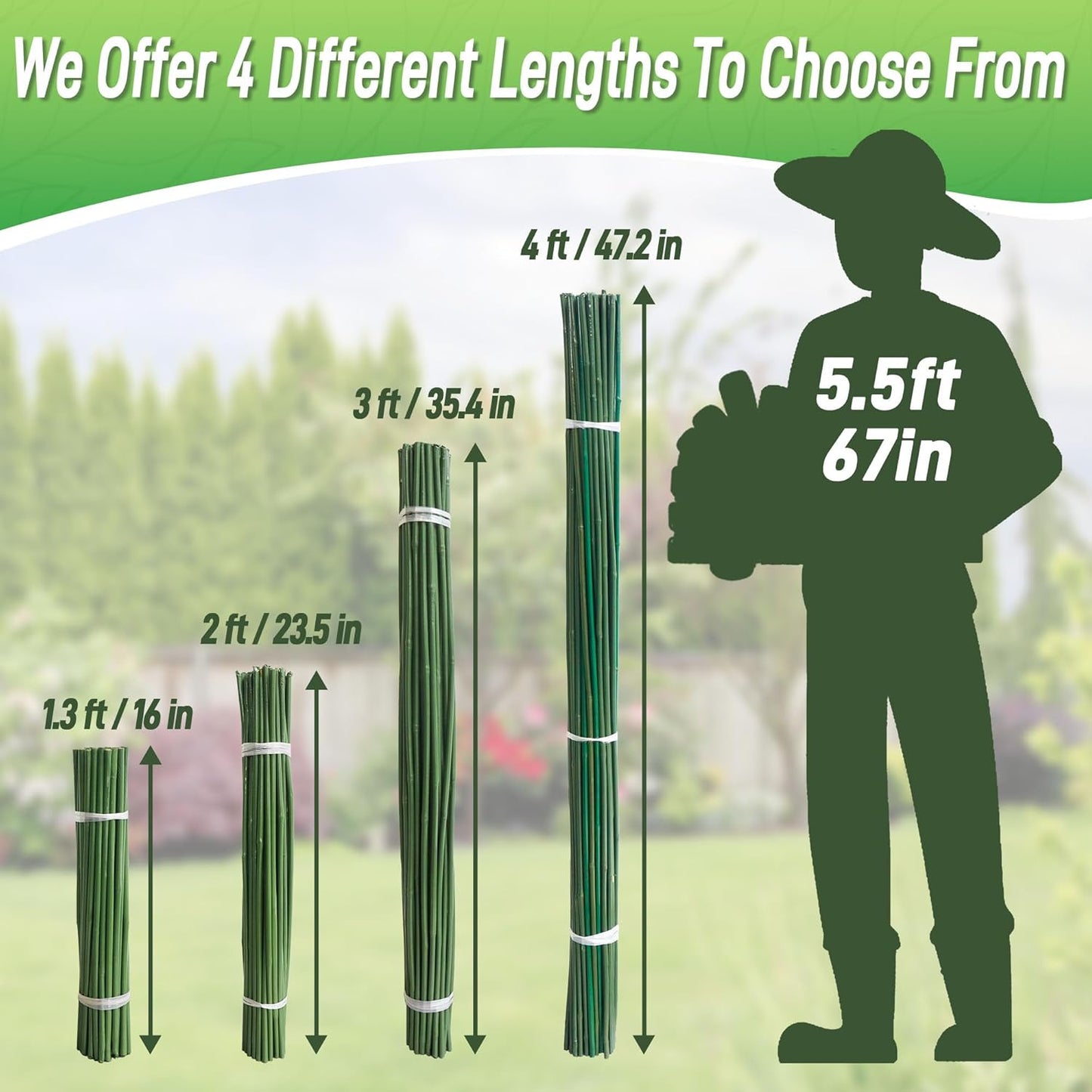 50Pcs 16in Bamboo Sticks for Indoor Outdoor Plants, 0.29"-0.38" Natural Bamboo Poles, Durable Garden Stakes for Tomatoes, Beans, Flowers and Potted Plants