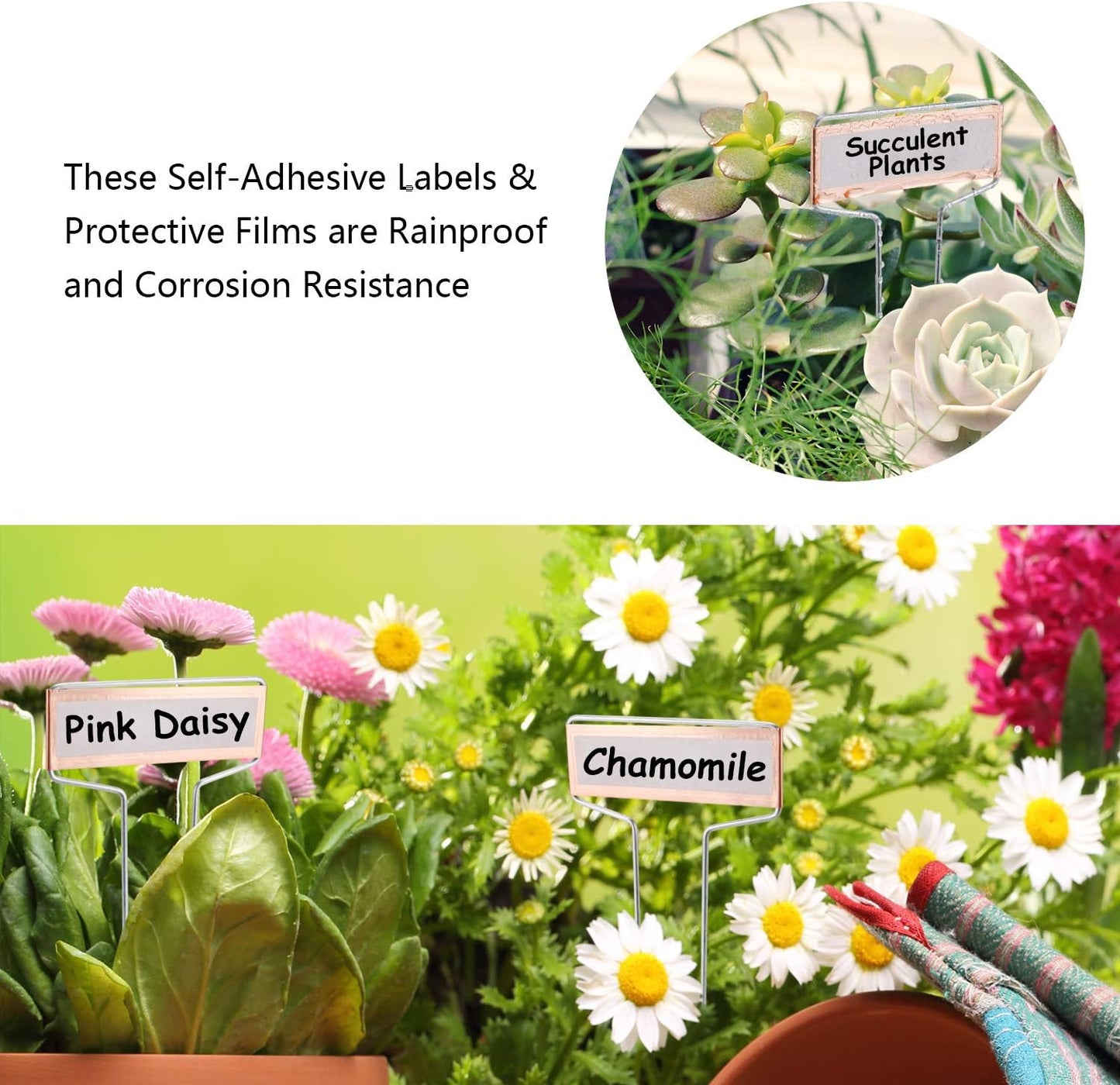 25PCS Copper Metal Plant Tags Plant Labels with 50Pcs Labels, Rainproof PET Film & Permanent Pen, 6.1 inch Weatherproof Banner Garden Markers, Marking Protection Seedling Signs Nursery Tags