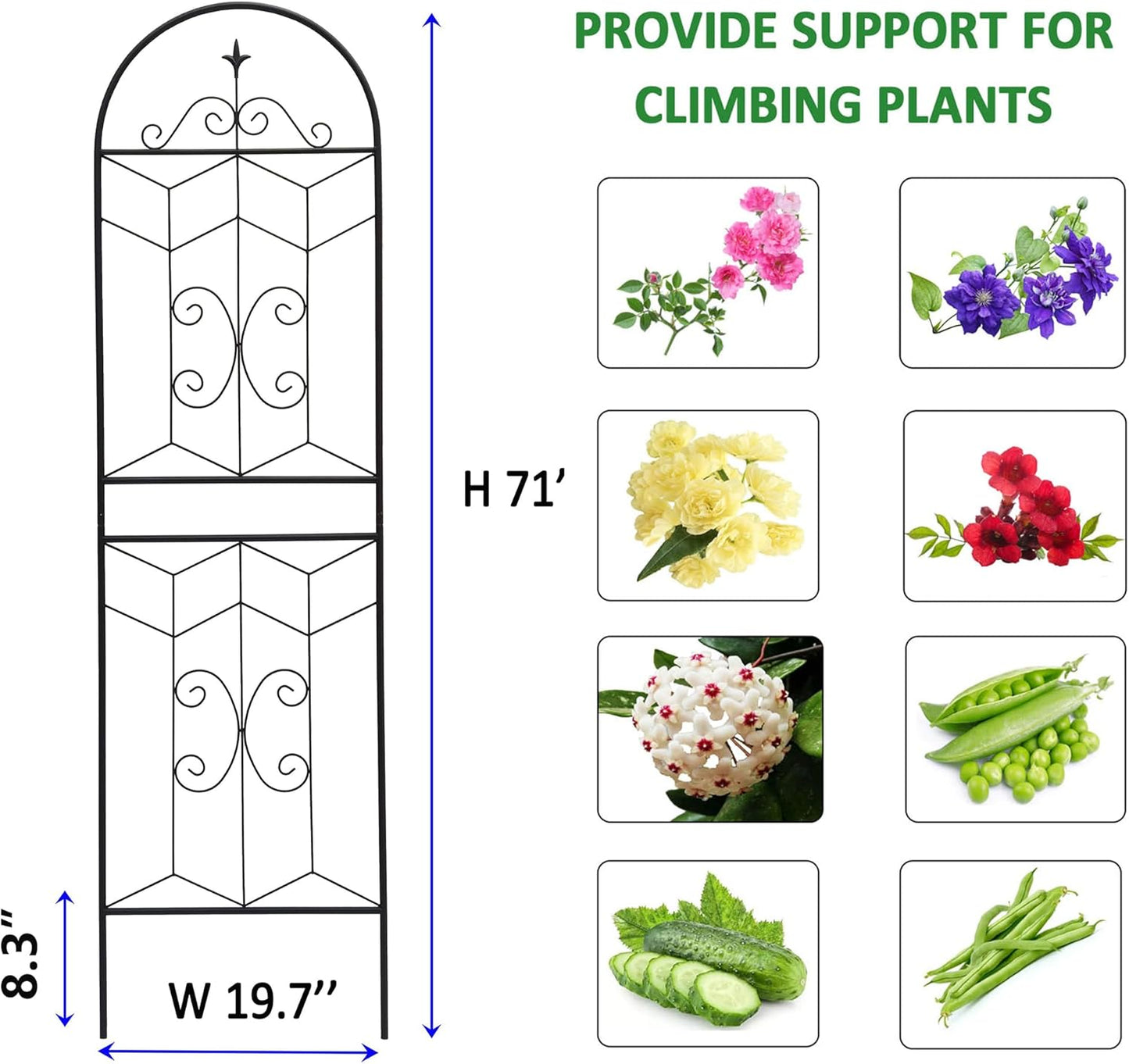 4 Pack Metal Garden Trellis 71" Tall Outdoor Climbing Plant Support for Roses, Flowers, Rustproof Durable Black Galvanized Tube, Lawn Garden Fence Decor Screen (4, Castle-71 H)