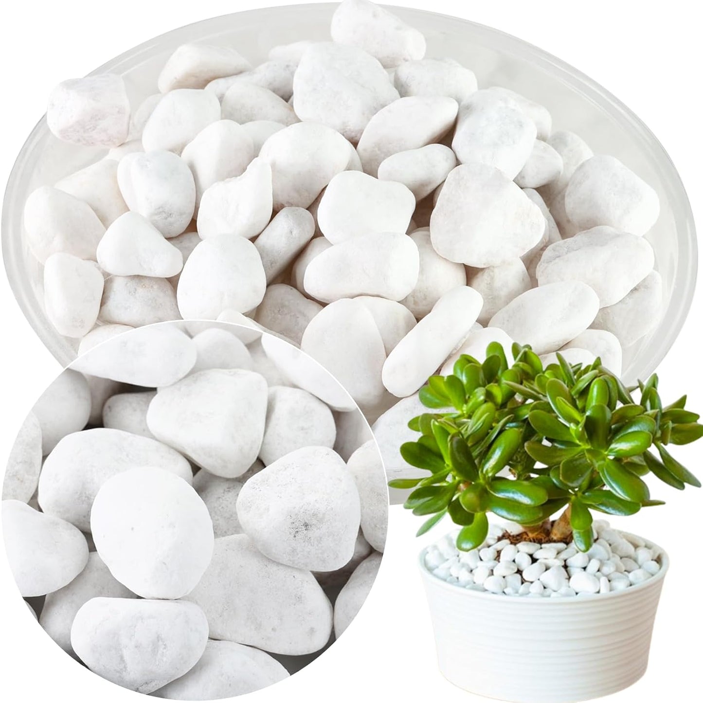11 Lbs Natural River Rocks for Plants 0.6-0.8 inches Small White Landscaping Garden Stones White Aquarium Gravel Decorative Pebbles for Indoor Outdoor Planters Home Decor