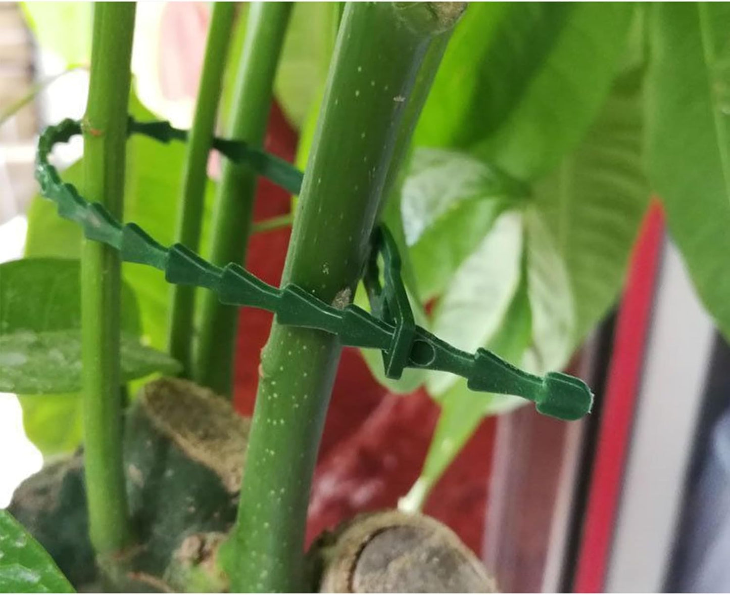 300 PCS Adjustable Plant Ties Flexible Garden Plant Ties, Green Multi-Function Sturdy Garden Plant Twist Tie Plastic Garden Ties Plant Support Tree Shrub, Office Home Cable Organization (13 & 23 CM)