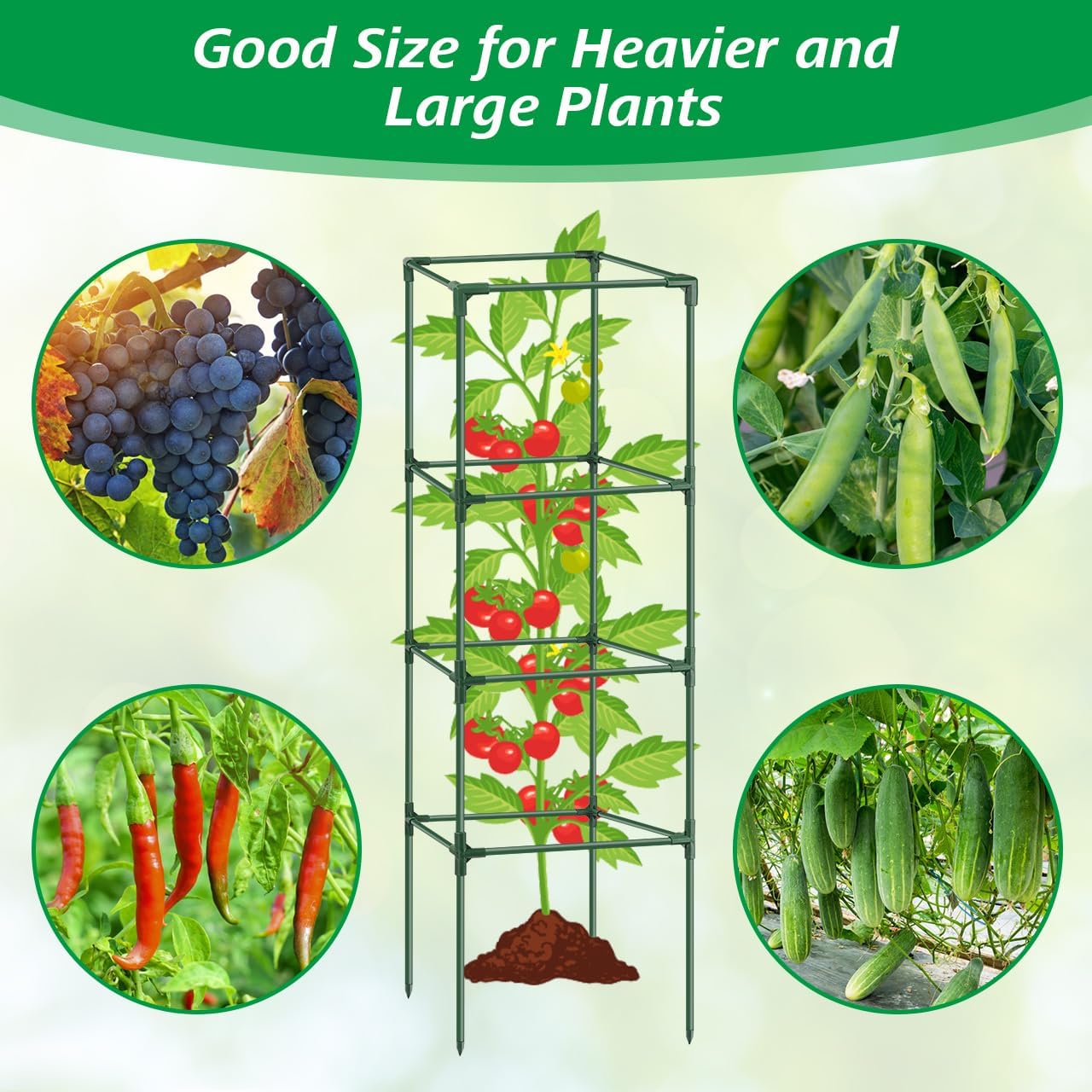 6Pack Tomato Cage, 57*15.4*15.4 Inches Garden Tomato Cages Plant Support Square Pole, Heavy Duty Steel Plant Tower Stakes,Cherry Tomato Trellis Cucumber for Climbing Vegetables Flowers Fruits-Green