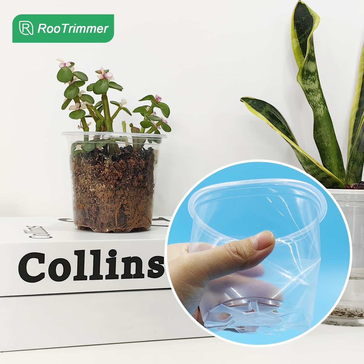 4" Clear Seeding Pots 50-Pack Round for Seeds Starting, Seeds Germination Transparent Nursery Pots with Drainage Holes (4Inch,Clear,50Pcs)