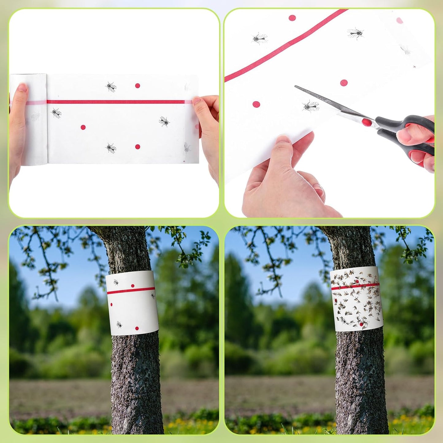 Qualirey 6 Rolls Spotted Lantern Fly Traps 30 Feet Each Roll Fly Tree Trap Sticky Strips Outdoor Fruit Glue Strips Disposable Tape Indoor Paper Sheets for Protecting Trees(White)