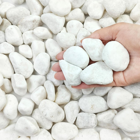 10 lbs White Gravel for Landscaping, 1-2 Inch Pebbles for Indoor Plants, Decorative River Rocks for Succulent, Vases, Aquariums, Crafting and Garden