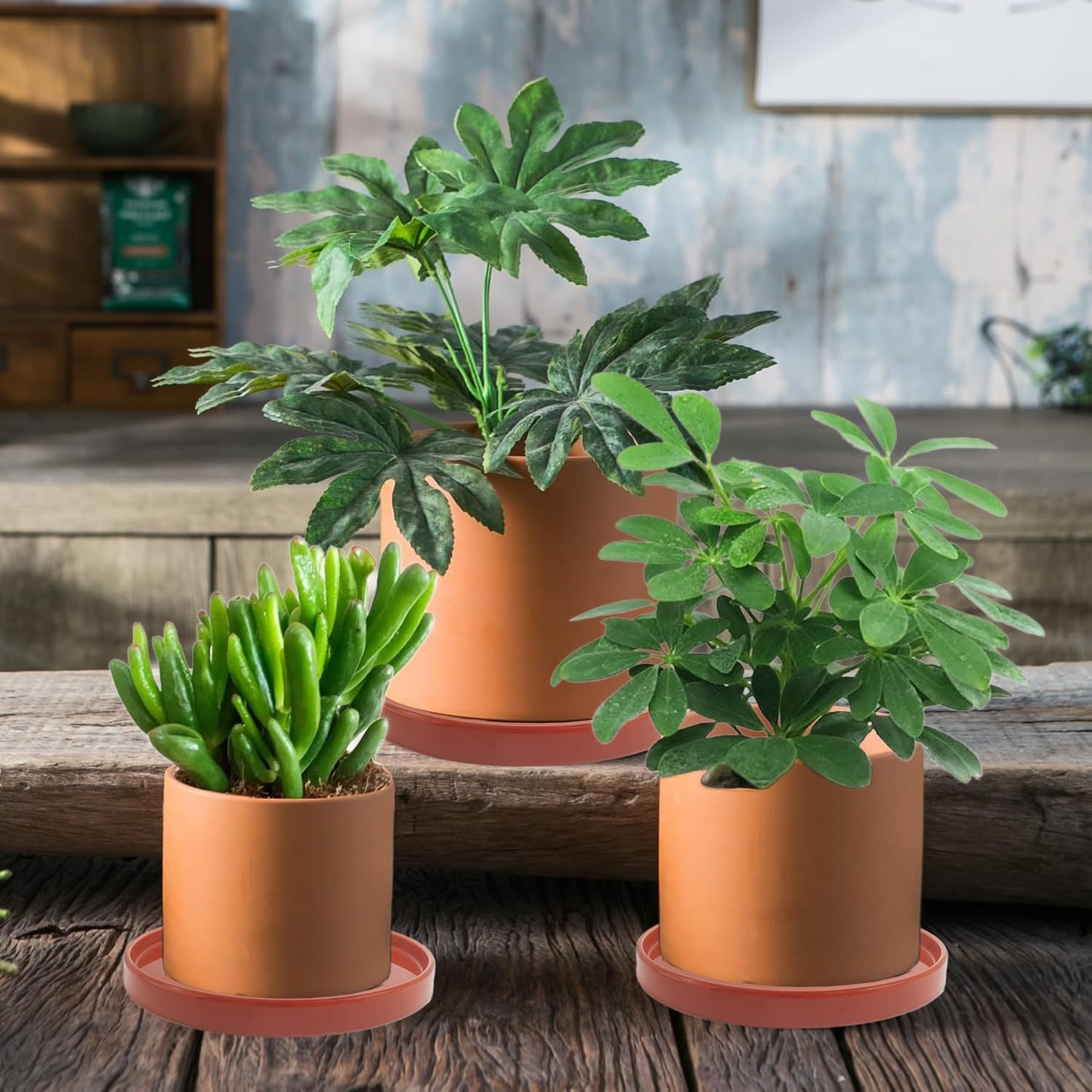 2 Pack Ceramic Plant Saucer Pot Tray 6 Inch Terracotta, Planter Saucers 6 7 8 9 10 11 12 15 Inch, Durable Sturdy Flower Drainage drip Water Tray for Glazed Pots Base (6.4 Inch- Red Terracotta)