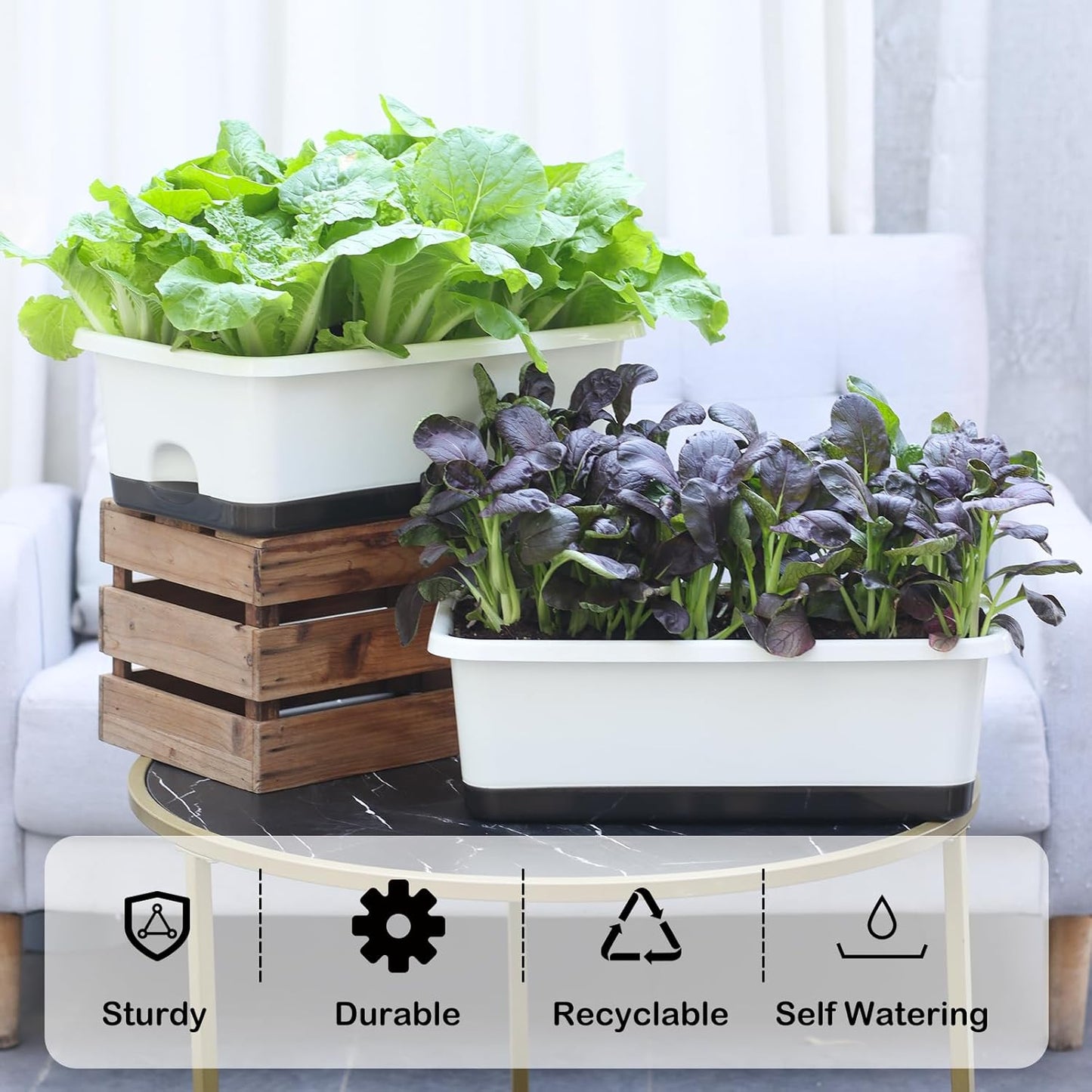 Window Box Planter 6 Pcs, 18 Inches Rectangle Flower Pots with Drainage Holes and Trays, Vegetable Planters for Windowsill Patio Garden Balcony Home Porch Yard Indoor Outdoor (White, 18*10*6 inch)