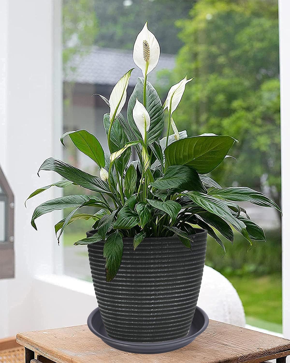 6 Pack Plant Saucer Drip Tray 9 10 inch, Plant Dishes Saucer Plastic Flower Planter Saucers and Drip Trays for Indoors Outdoors, Heavy Durable Plant Plate Water Catcher (10", Dark Gray)