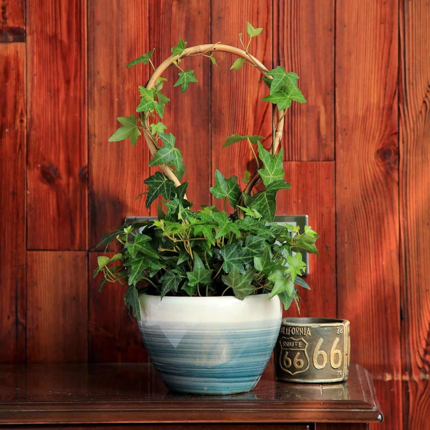 3Pack Bamboo Trellis 16 Inch Round Shaped Small Plant Trellis for Indoor Potted Plants Climbing Monstera Orchid Vine Hoya Houseplant