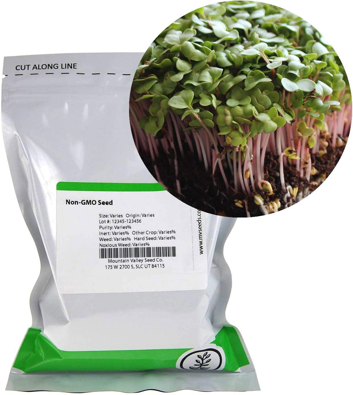 Radish Sprouting Seed - Red Arrow Variety - 4 oz Seed Pouch - Heirloom Radish Sprouts - Non-GMO Sprouting and Micro Greens