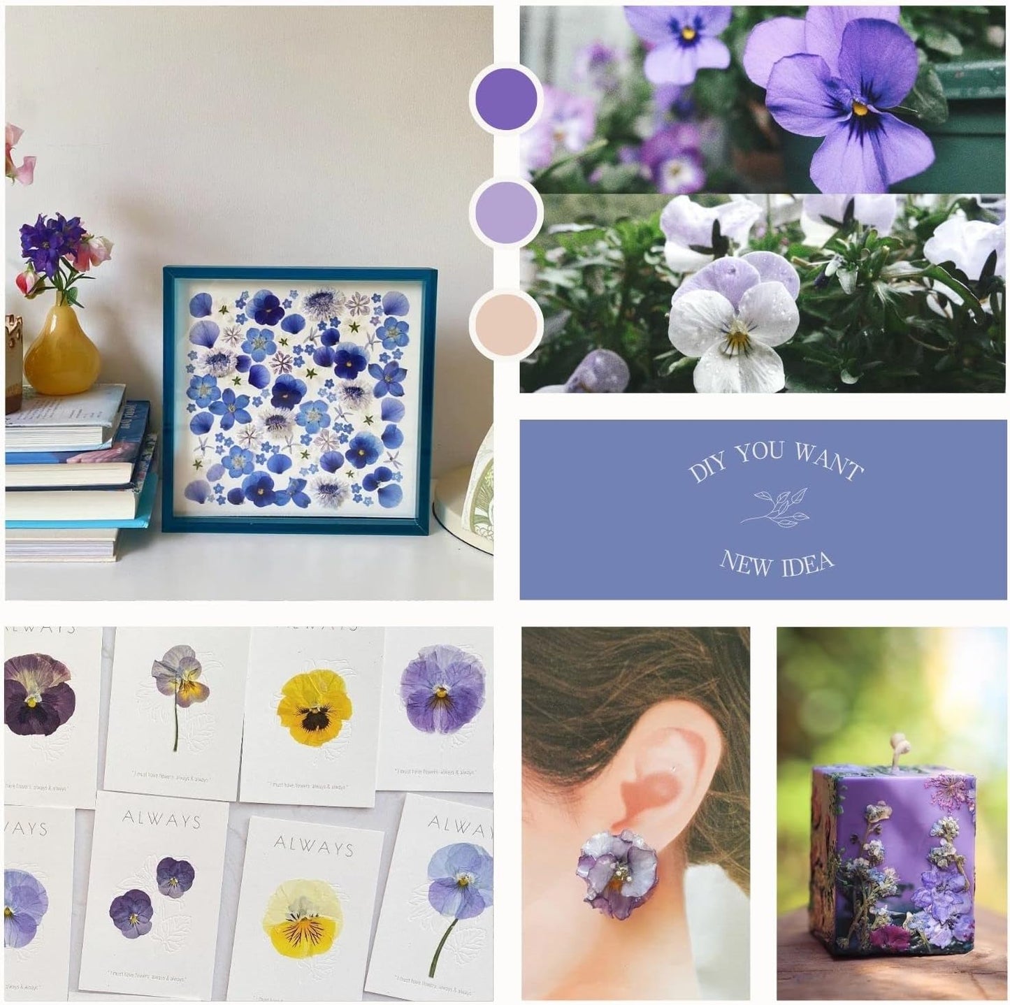 48 Pcs Mix Natural Dried Pressed Flowers for Cake Decorating, Real Dry Flower for Resin Jewelry Making, DIY Art Crafts - Johnny Jump Up