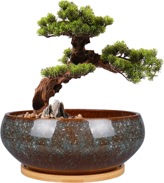 8 Inch Ceramic Bonsai Planter Pot, Glazed Shallow Succulent Planter with Drainage Hole and Bamboo Saucer for Indoor Plants, Green