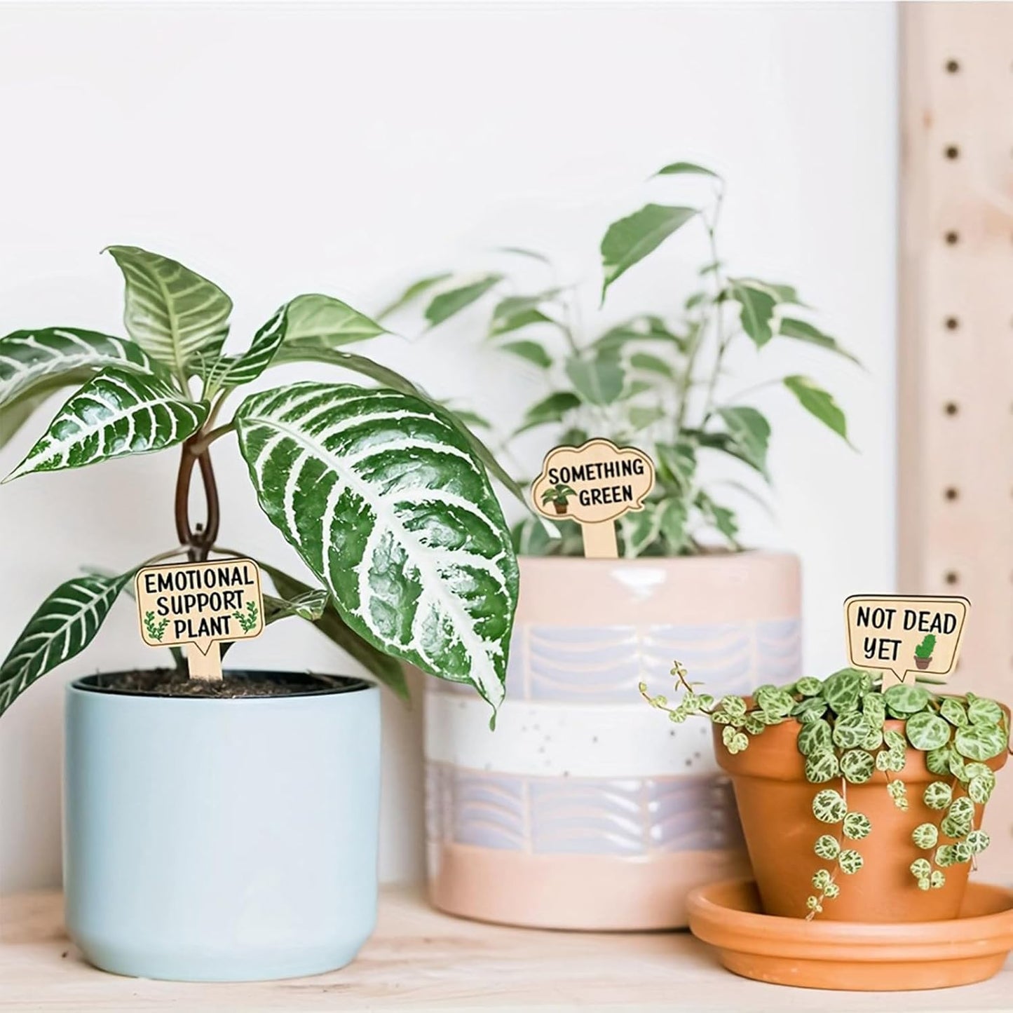 15 Pcs Garden Plant Markers, Wooden Plant Labels Tab Funny Plant Signs with Stake, Interesting Words Garden Tags Labels for Outdoor Indoor Patio Supplies Stakes for Potted Novelty Gifts