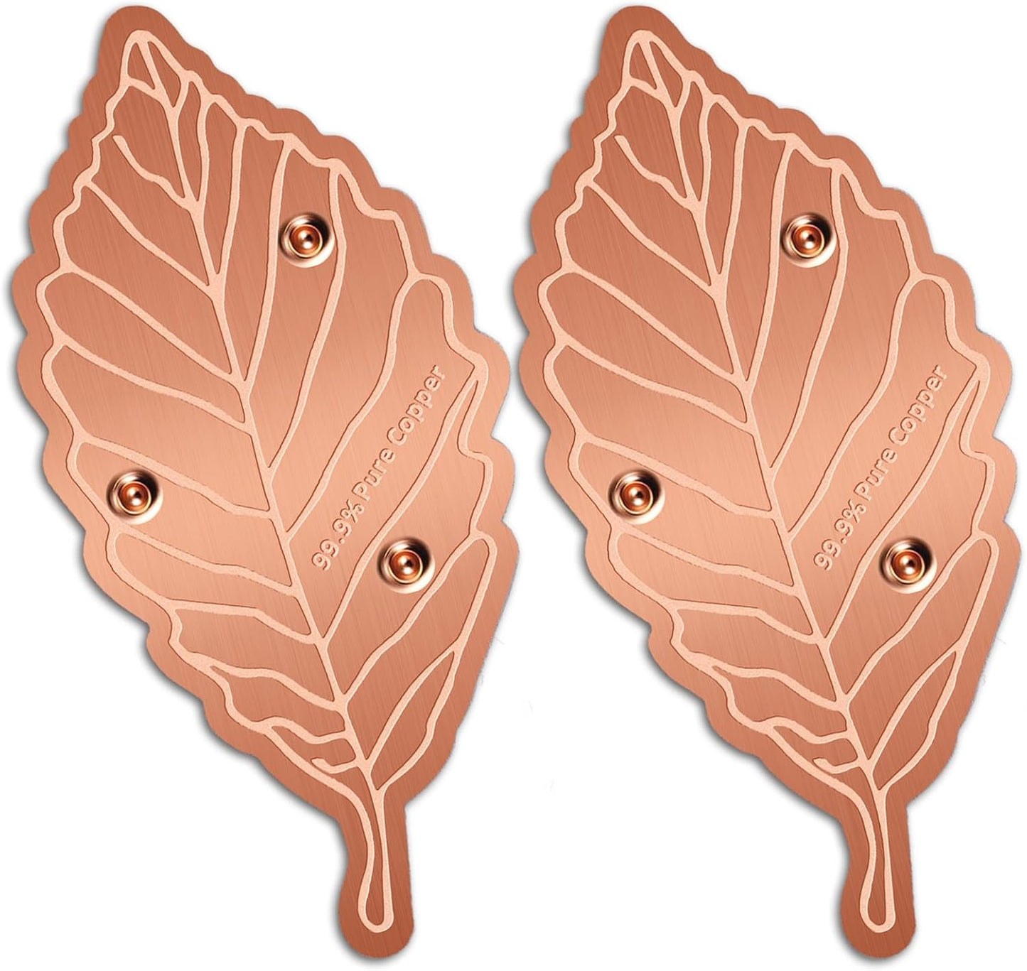 Bird Bath Copper Disk,Bird Bath Purification Disk 0.6mm Reinforced 99.99% Pure Copper Cleaning Disk with 3-Point Support,Fits Outdoor Birdbath & Bowl,Provide Safe Clean Water,Leaf-2Pcs