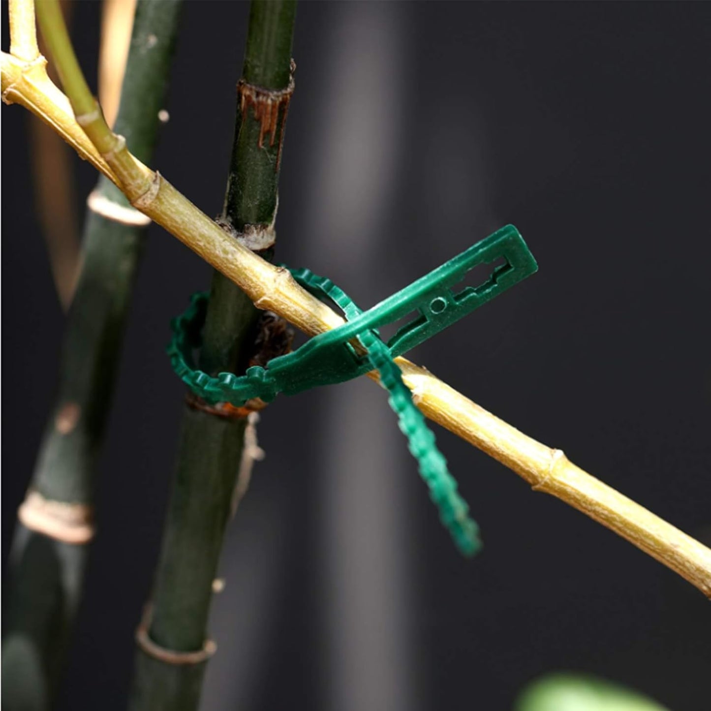 300 PCS Adjustable Plant Ties Flexible Garden Plant Ties, Green Multi-Function Sturdy Garden Plant Twist Tie Plastic Garden Ties Plant Support Tree Shrub, Office Home Cable Organization (13 & 23 CM)