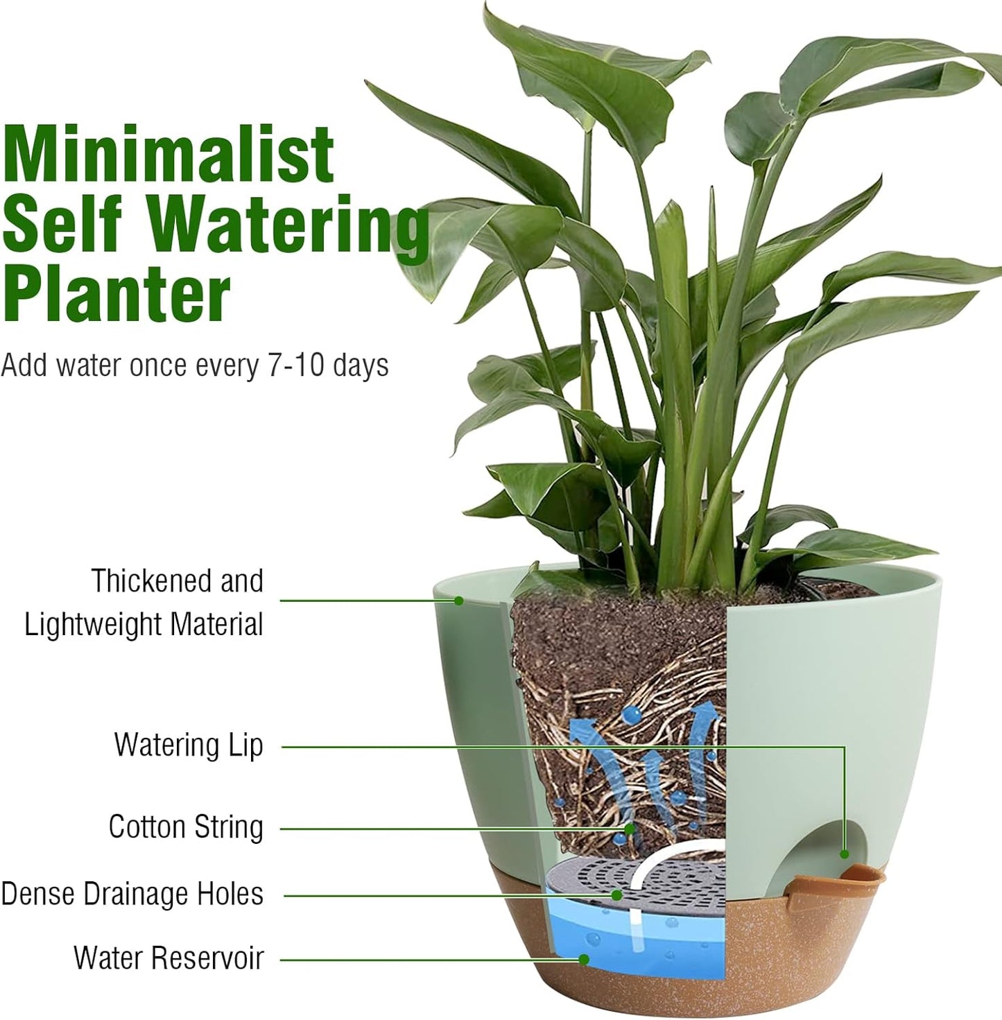 12 inch Large Self Watering Pots, Flower Plant Pots with Drainage Holes for Indoor Outdoor Garden Plants, Plastic Planters with Removable Deep Reservoir, Green with Brown