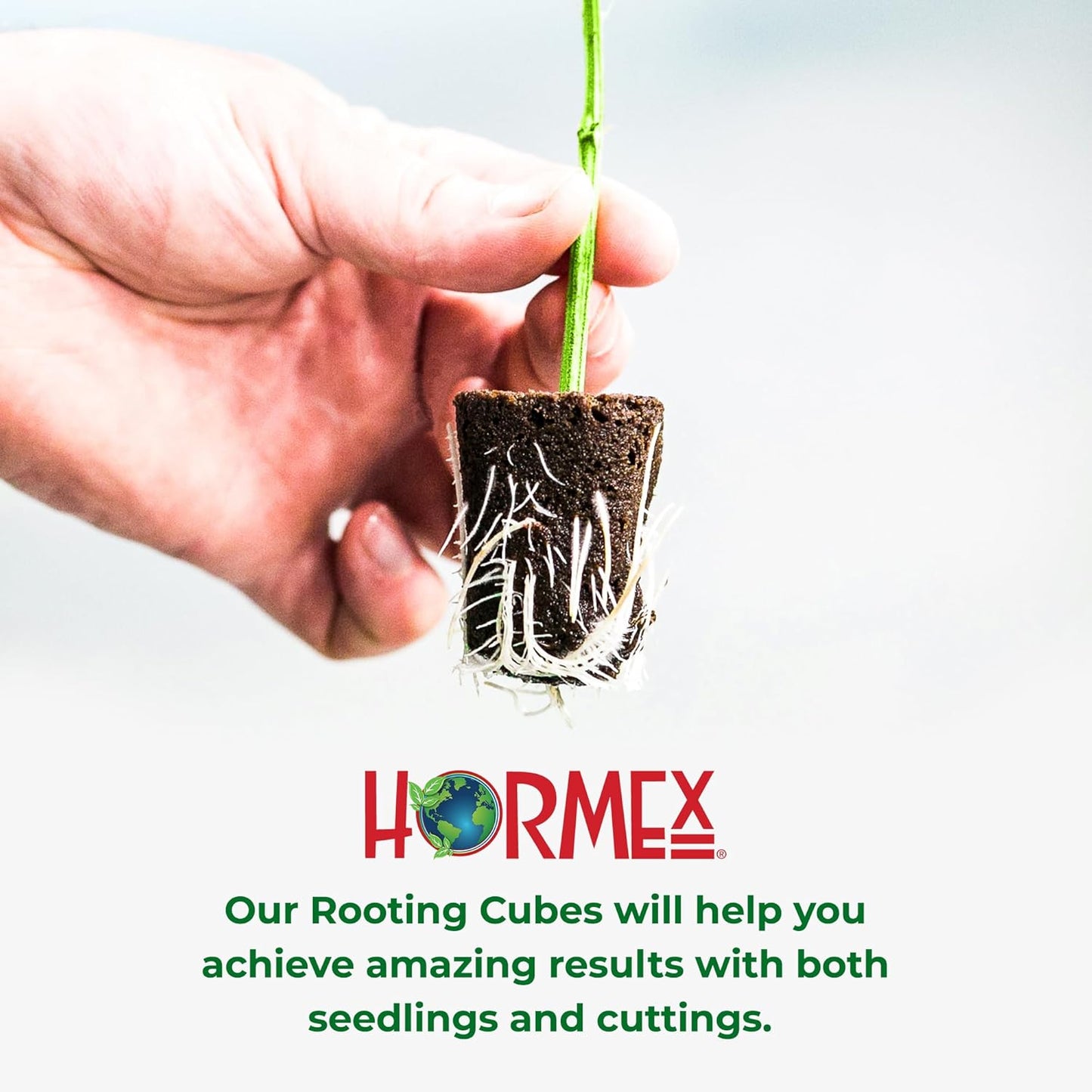 Hormex Rooting Powder #8, Grow Cubes, Shears Combo - Rooting Hormone for Semi-Hardwood Plants & Medicinal Cuttings | Root Starter Cubes for Cloning Plants | Precision Straight-Blade Shears (50 Plugs)