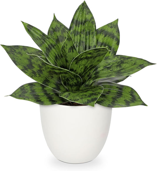 Hollyone Artificial Snake Plants 9" Faux Agave Succulent Plant Potted in White Pot Fake Sansevieria Aloe Tropical Plant for Desk Modern Office Home Bathroom Indoor Outdoor Decor