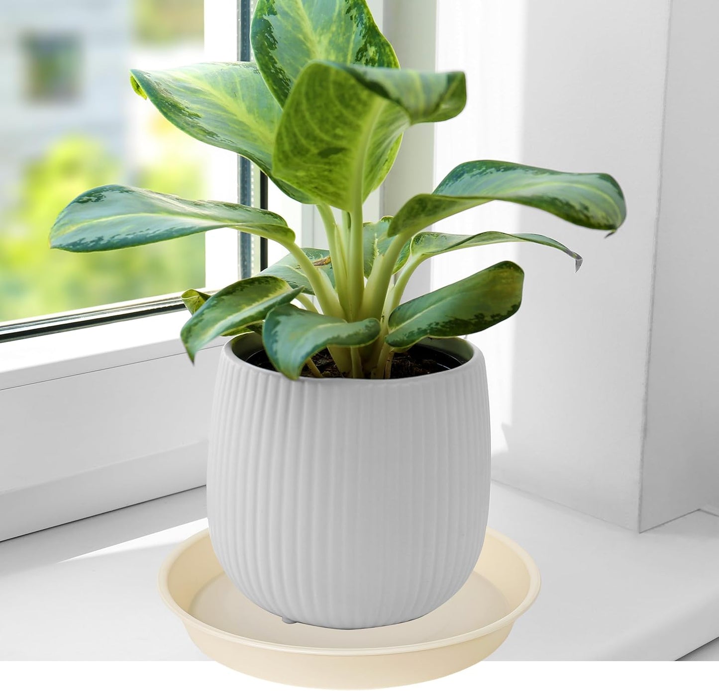 2 Pack of 14 inch Plant Saucers Bird Bath Bow Round, Plastic Plant Saucer Tray for Pots, White Planters for Indoor Plants, Plant Trays for Planter 12-15" (14", Beige)