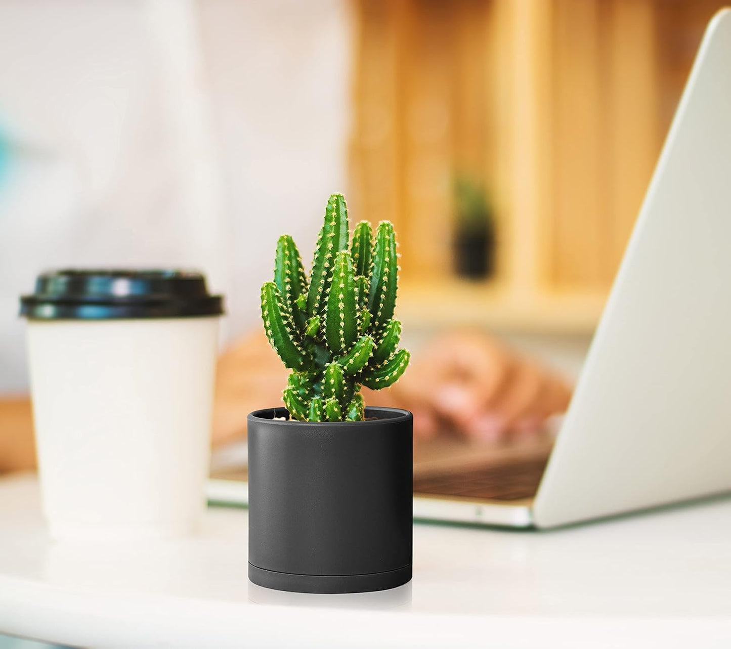 D'vine Dev Pack of 36 Plastic Plant Pots (12 Set of 2 Inch, 2.5 Inch, 3 Inch) Small Garden Planter Pots for Plant with Drainage Holes and Saucers, Black, 74-T-B