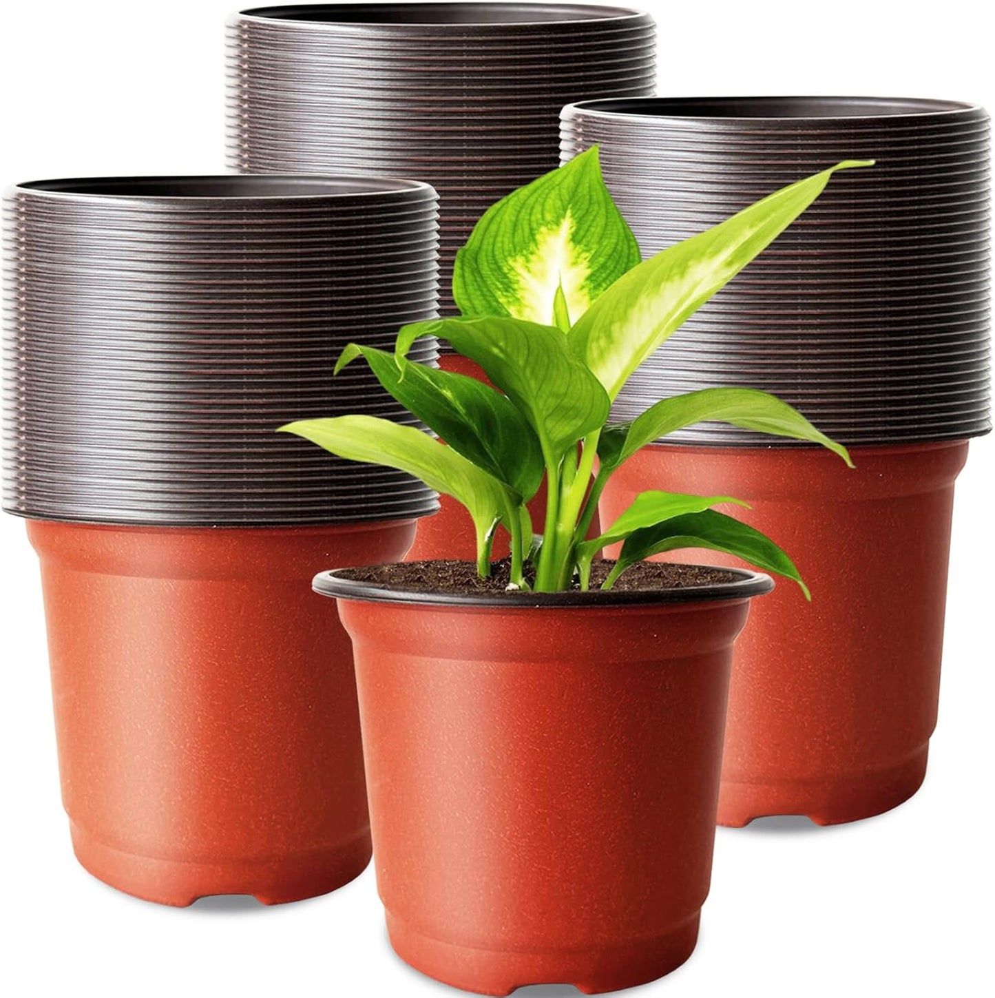 200 PCS Plastic Nursery Pots,4 Inch Seedling Starting Pot with Holes,Flower Plant Container for Succulent,Seed,Cuttings,Transplanting