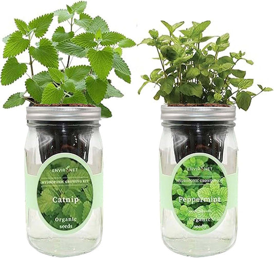 2-Pack Hydroponic Mason Jar Herb Garden Kit, Indoor Herb Garden Self-Watering Starter Kit (Catnip,Peppermint)