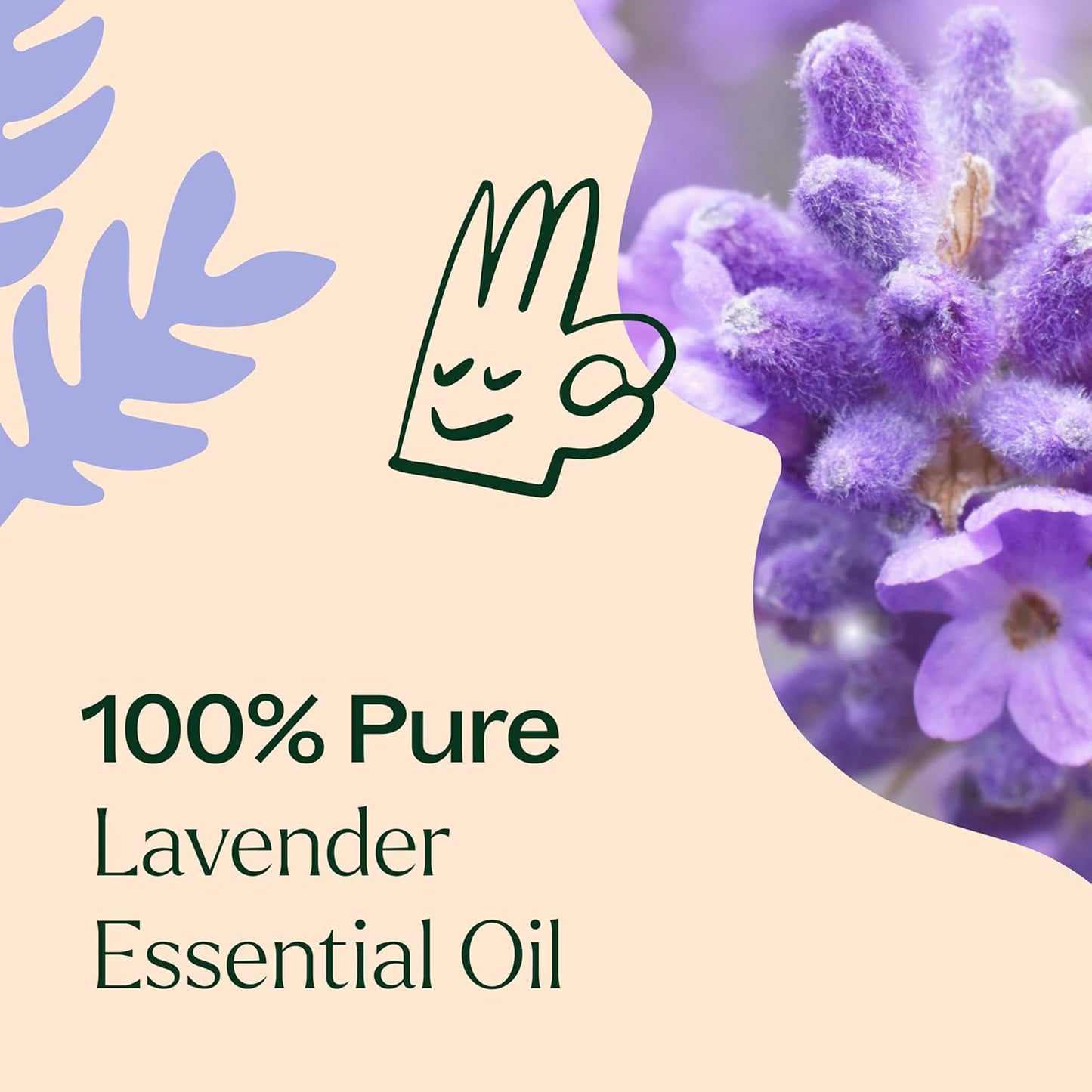 Plant Therapy Lavender Essential Oil 100% Pure, Undiluted, Natural Aromatherapy, Therapeutic Grade 30 mL (1 oz)