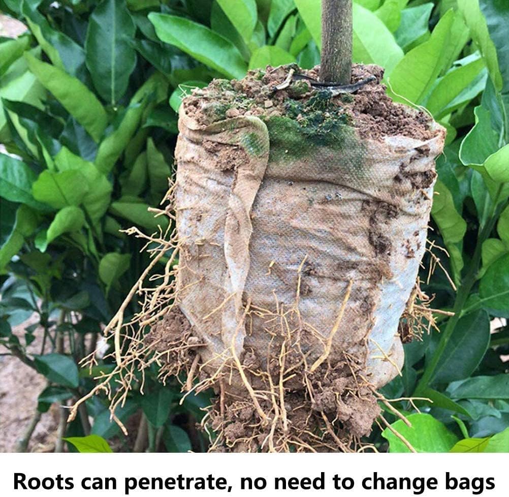 200Pcs Nursery Growing Bags,Non-Woven Fabric Seedlings Grow Bag for High Seedling Survival Rate,Plant Bags for Planting,Garden Seed Starters Pouch Small（4.2"x4.2"）