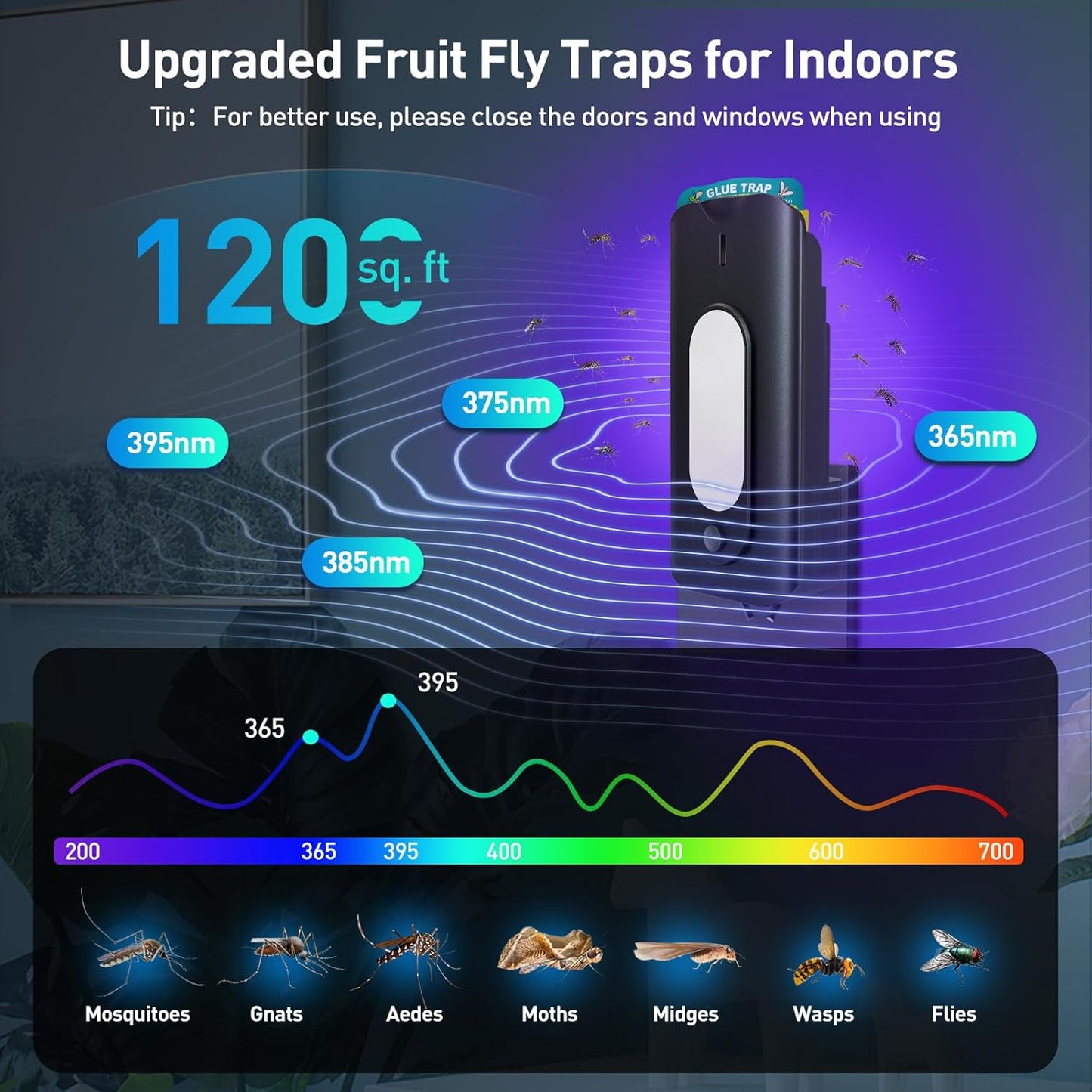 Fruit Fly Trap for Indoors with 10 Refills, 2 in 1 Fly Trap Indoor with Night Light for Home, Gnat Traps for House Indoor, Plug-in Insect Trap for Gnats, Flies, Moths, and Other Bugs-Black