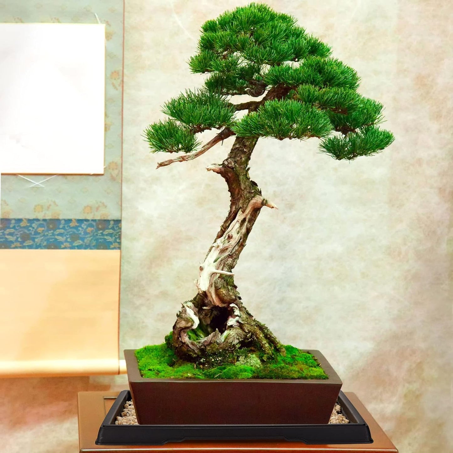 Pinkunn 2 Pcs Bonsai Humidity Tray Drip Tray Plastic Plant Water Catcher Plant Saucers for Indoors and Outdoors Cactus,Succulents,Bonsai Tree,Stone Not Included (15.7 x 13 Inch)