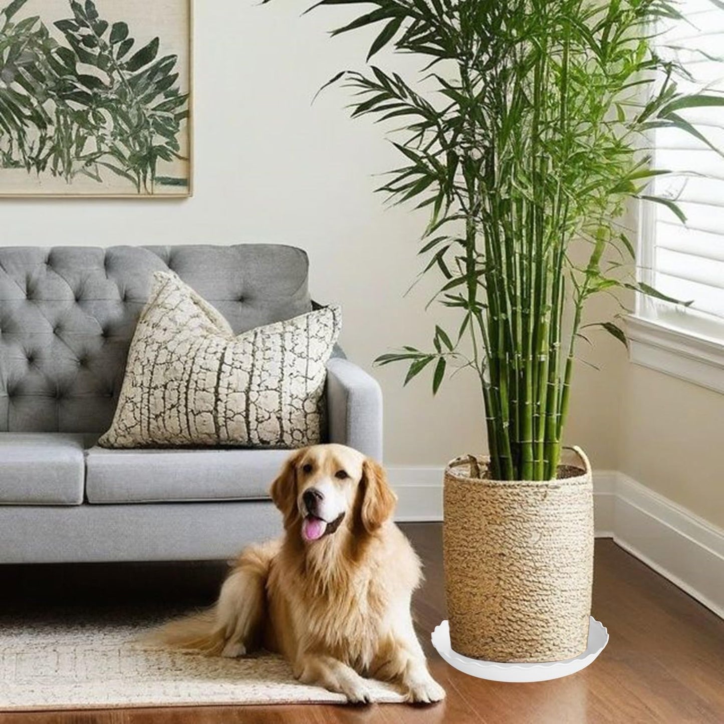 4 Pack of 14 inch Plant Saucer, Plastic Plant Saucer 14 inch, Heavy Duty Plant Tray for Pots, Plant Saucers for Indoors Planter, Garden Water Plate 12"/13"/14" (White)