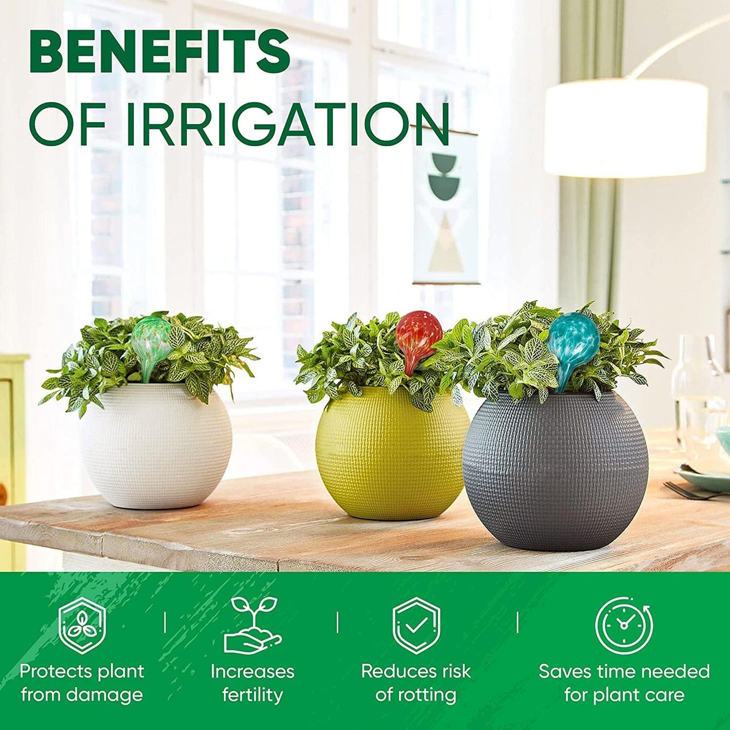 Plant Watering Globes Set of 6 – Large Glass Bulbs (up to 7 Days of Watering) for Indoor & Outdoor Plants – Multicolor - Self-Watering