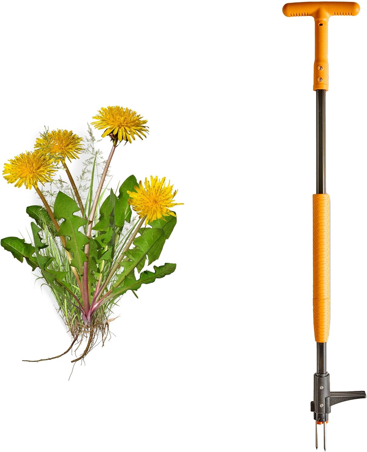 Stand Up Weed Puller Tool with Long Handle - 39” Ergonomic Weeder Puller - Heavy Duty Weed Remover for Weeding Without Bending or Kneeling - Garden Tools for Gardening by Garret Wade