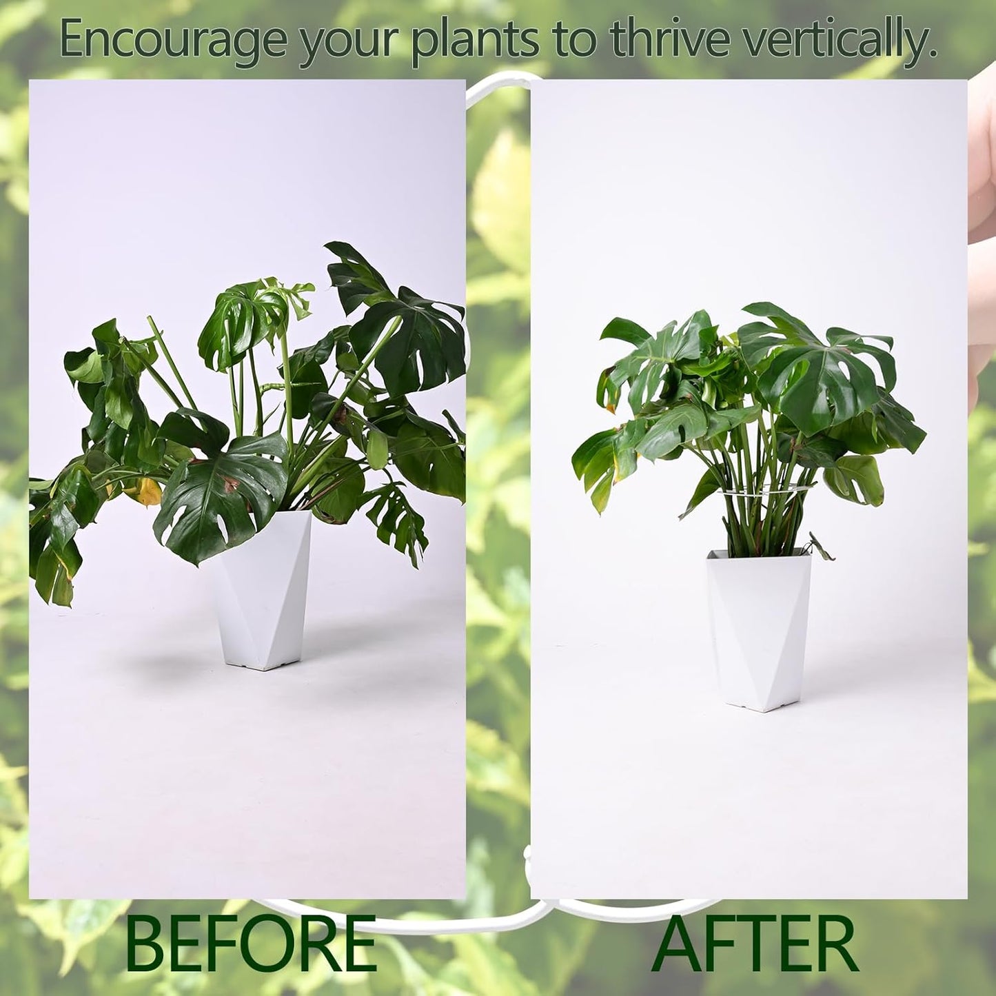 5PCS Monstera Plant Stem Support White - 11x9.4 inches, Durable Adjustable Leaf Supports for Indoor Plants, Fishbone Cactus Stake Holder for Garden Stability