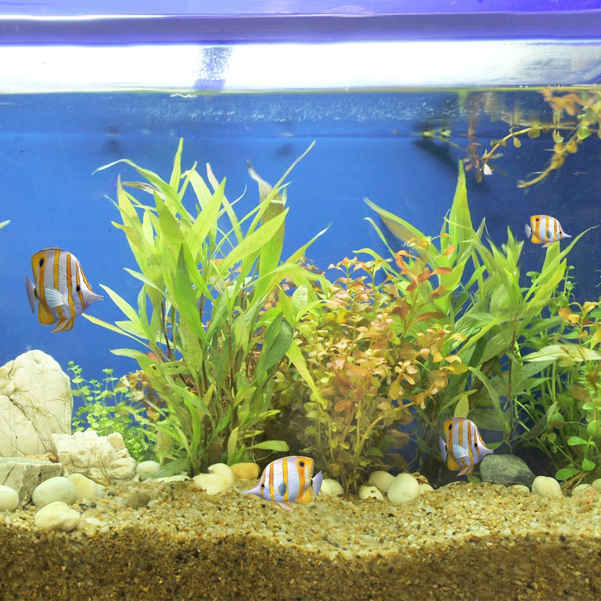 5lbs Aquarium Gravel, 1/16"(0.6-1.2mm) Natural River Rocks Succulent Cactus Pea Gravel for Plants, Fish Tank, Decorative Pebbles for Gardening, Flower Pots, Vase Fillers, Landscaping