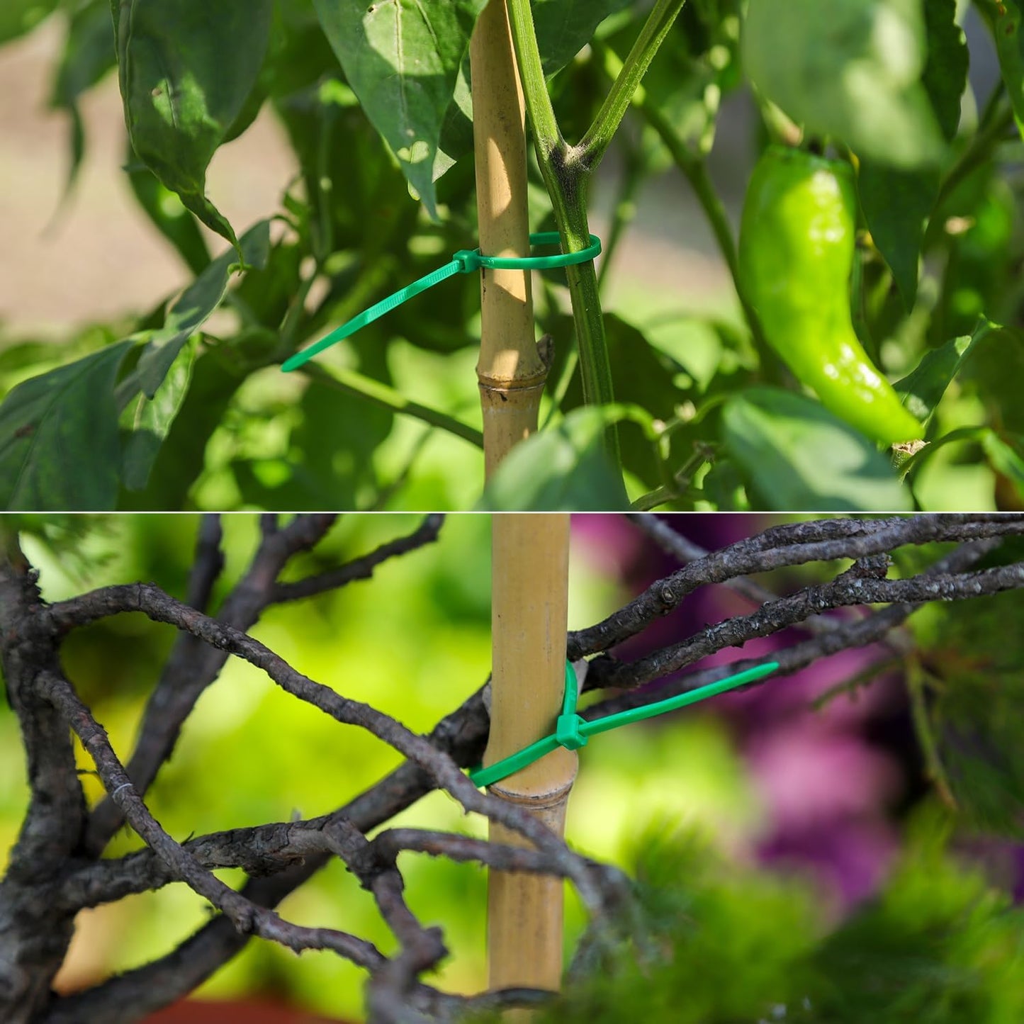 10 Inch Green Nylon Garden Zip Ties, 100 Pcs