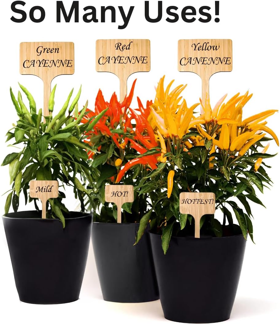 100 Pcs Large 8" Tall Garden Label Plant Signs Eco-Friendly Compostable to Easily Identify Plants, Seeds, Bulbs, Flowers, Vegetables
