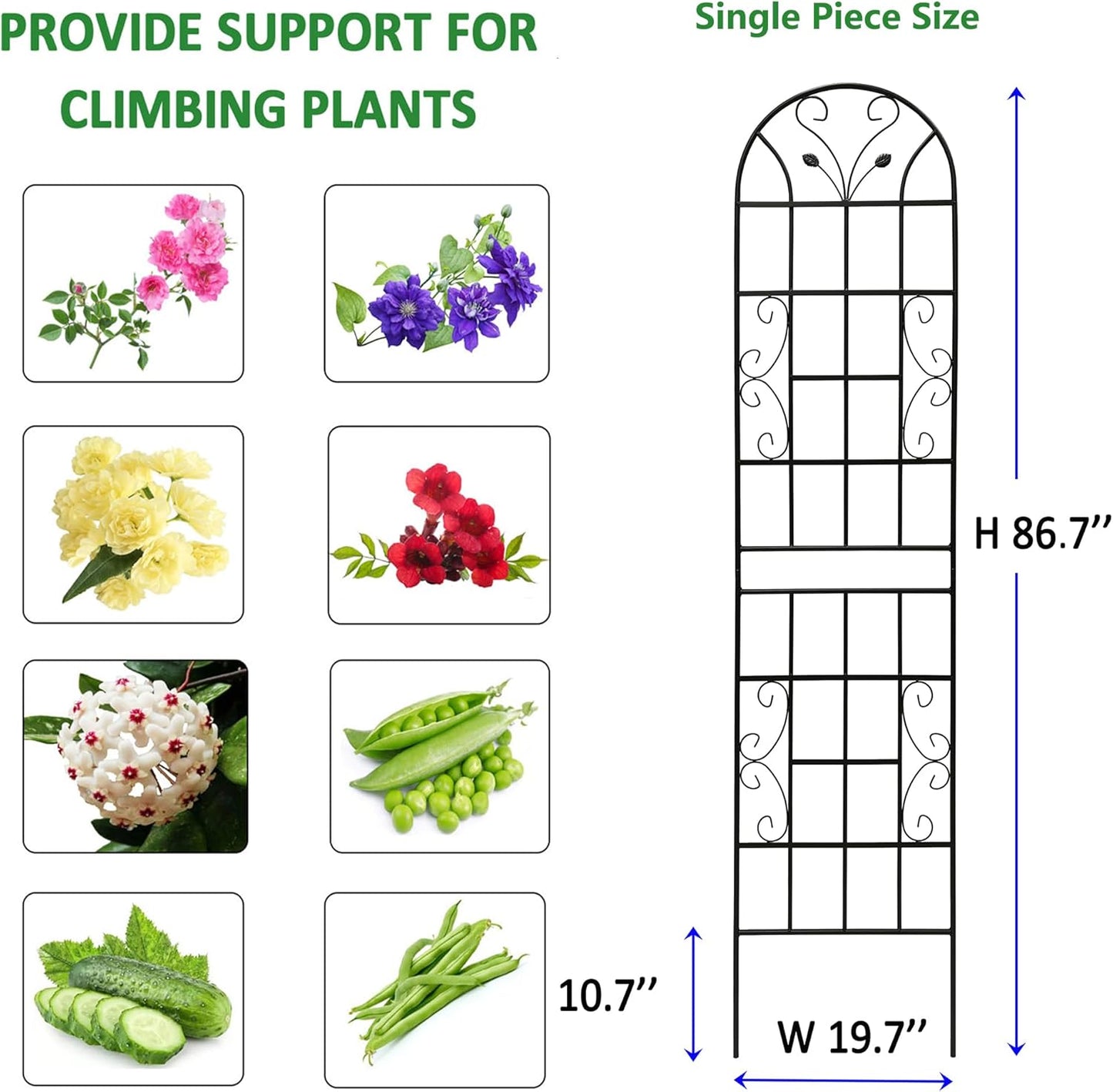 2 Pack Metal Garden Trellis 86.7" Tall Outdoor Climbing Plant Support for Roses, Flowers, Rustproof Durable Black Galvanized Tube, Lawn Garden Fence Decor Screen (2, Black curves-86.7" H)