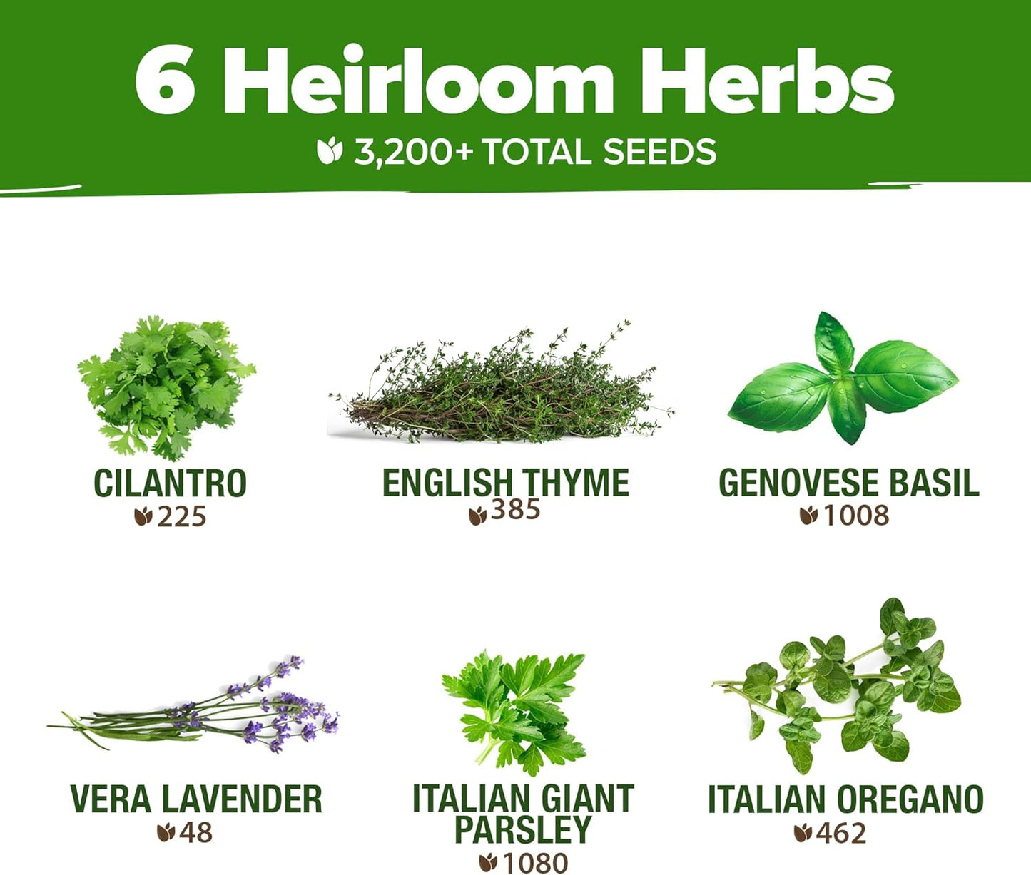 HOME GROWN 6 Herb Seeds for Planting 3,200+ Non-GMO Heirloom Seeds | Extra Large Variety Pack Herb Kit – Indoor Outdoor & Hydroponic | Culinary Seed Set | Grow Your Own Herbs | Gift for Beginners