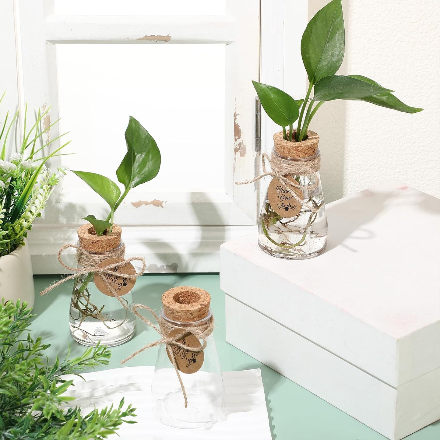 Baderke 3.35'' Plastic Plant Propagation Stations with Hole Lid Planter Vase Clear Propagation Jars with Thank You Tags for Plant Lover Gifts for Women Office Home Garden (48 Pack,Cute)