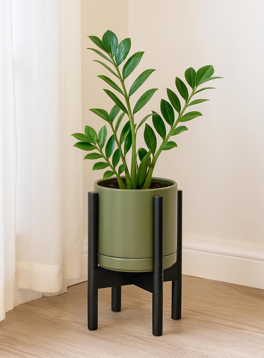 D'vine Dev Ceramic Planter with Ebony Stand - 8 Inch Modern Round Flower Pot with Wood Planter Holder, Olive, 55-B-M-J