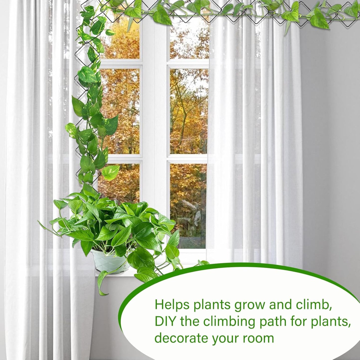 2 Pack 36pcs Chain Trellis for Climbing Plants Indoor & Outdoor, Garden Wall Plant Trellis Plant Vine Support Houseplant Accessories and Plant Gifts for Vine, Ivy, Monstera,Pothos