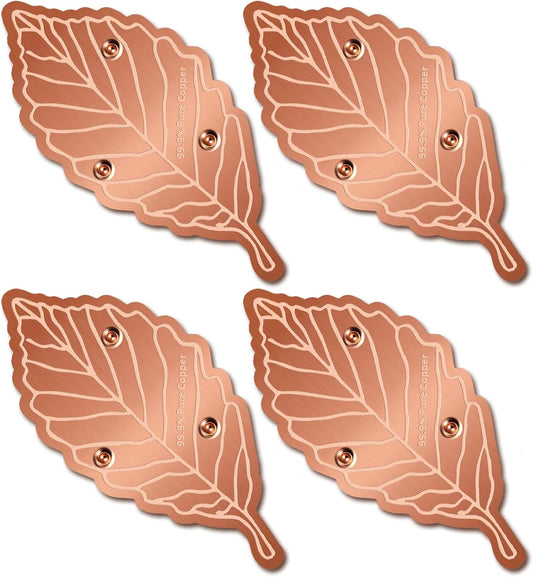 Bird Bath Copper Disk,Bird Bath Purification Disk 0.6mm Reinforced 99.99% Pure Copper Cleaning Disk with 3-Point Support,Fits Outdoor Birdbath & Bowl,Provide Safe Clean Water,Leaf-4Pcs