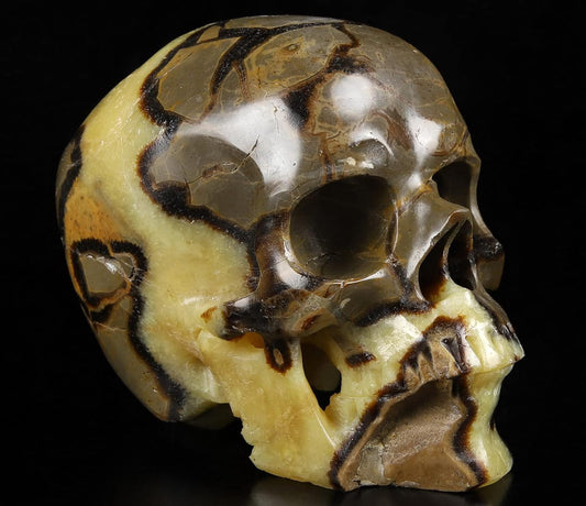 Skullis 5.0" Dragon Septarian Stone Hand Carved Crystal Skull, Super Realistic, Crystal Healing, Hand Carved Gemstone Fine Art Sculpture, Reiki Healing Stone Statue.1133 Z8