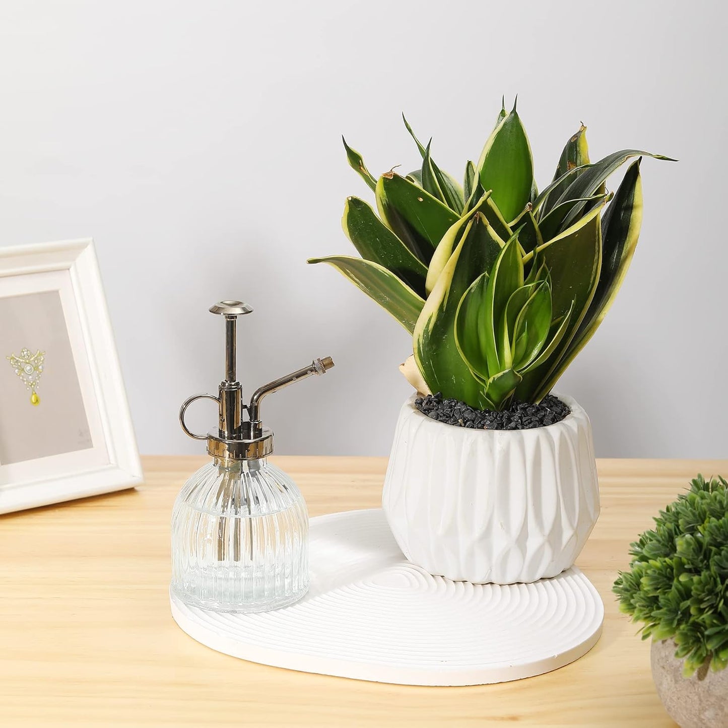 Glass Plant Mister Water Spray Bottle, 200 ML Glass Plant Spritzer Mister Bottle, Vintage Style Glass Succulent Watering Bottle with Top Pump, Plant Sprayer Mister for Indoor Plants - Clear