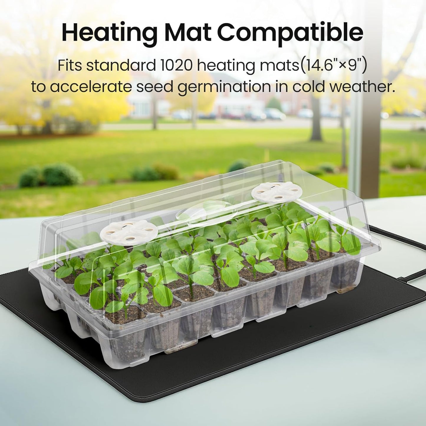 Bonviee 2-Pack Seed Starter Tray with Plant Light, Elevated Seedling Starter Trays Kits with Adjustable Humidity Domes and Clear Cell Tray, 12 Full Spectrum Led Lamp Beads for Plants Indoor-Clear