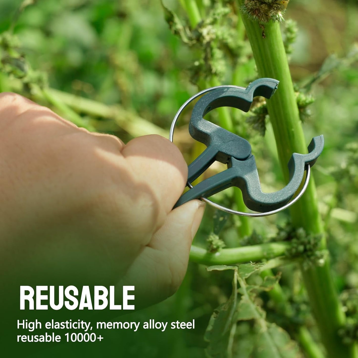 50Pcs Green Small 1.69 inch Plant Support Clips,Flower and Vine,Garden Tomato Plant Support Clips for Supporting Stems,Vines Grow Upright Climbing,Tool for Straightening,Trellis.